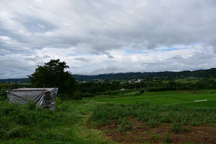 今日も降ったり止んだり