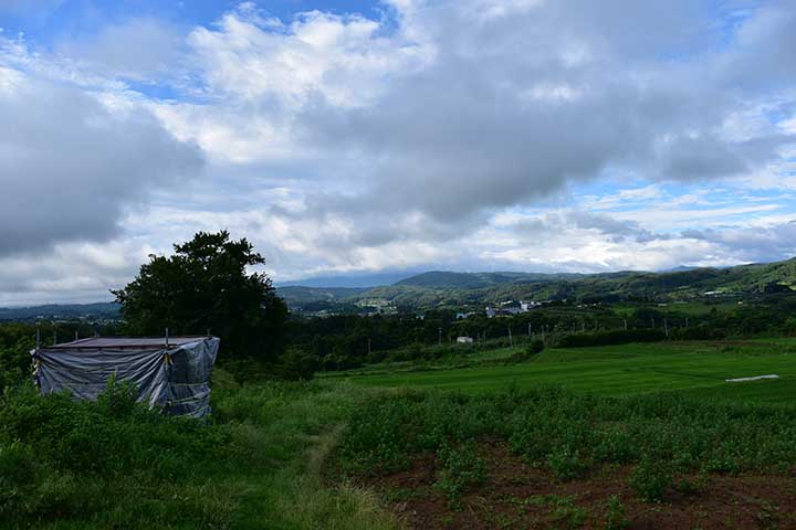 歯医者＆アルト給油＆小屋荷物引越