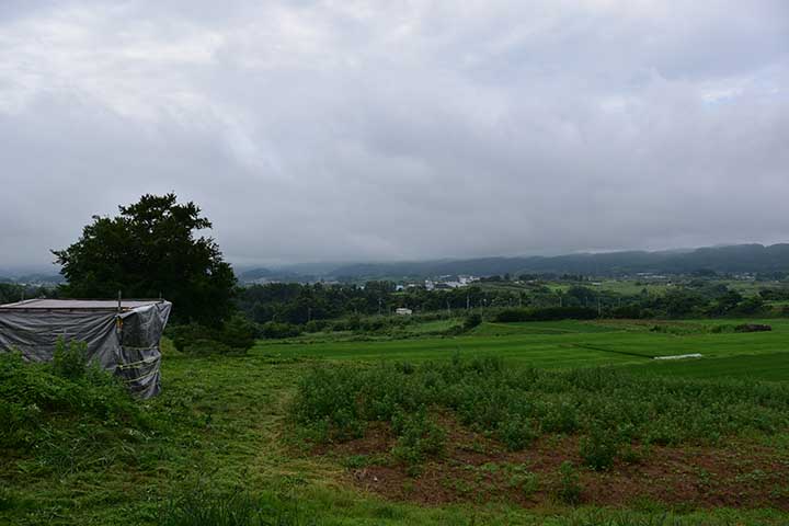 雷雨