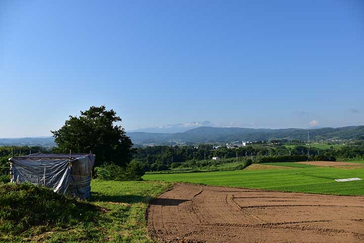 粗大ごみ廃棄＆単管組立小屋解体