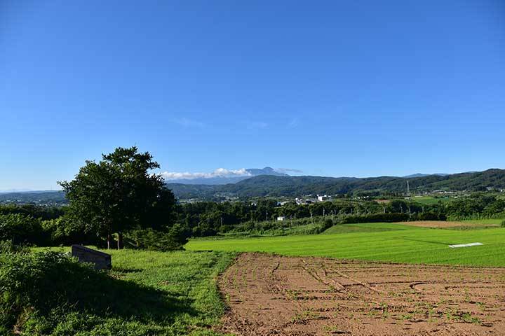 新コロワクチン接種翌日