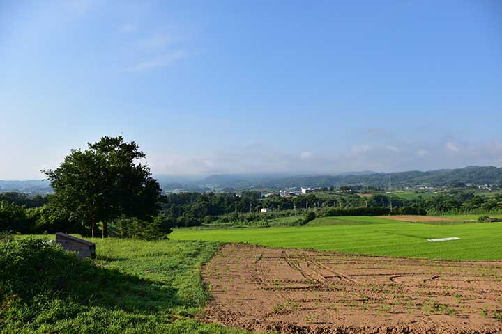 新コロワクチン接種 翌々日