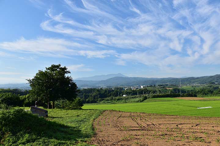 郵送