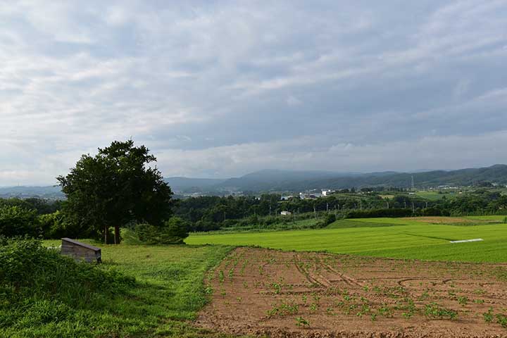 いつの間にか小雨