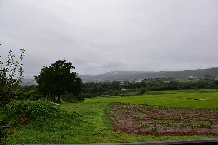 小雨