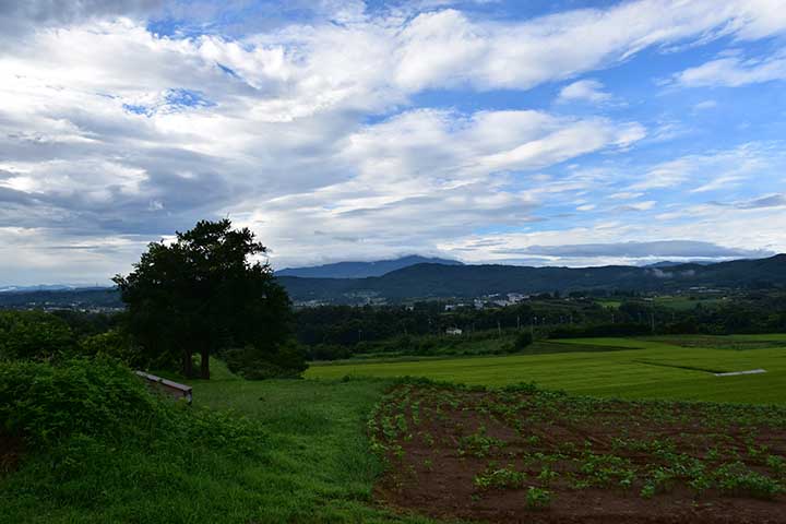 困った天気