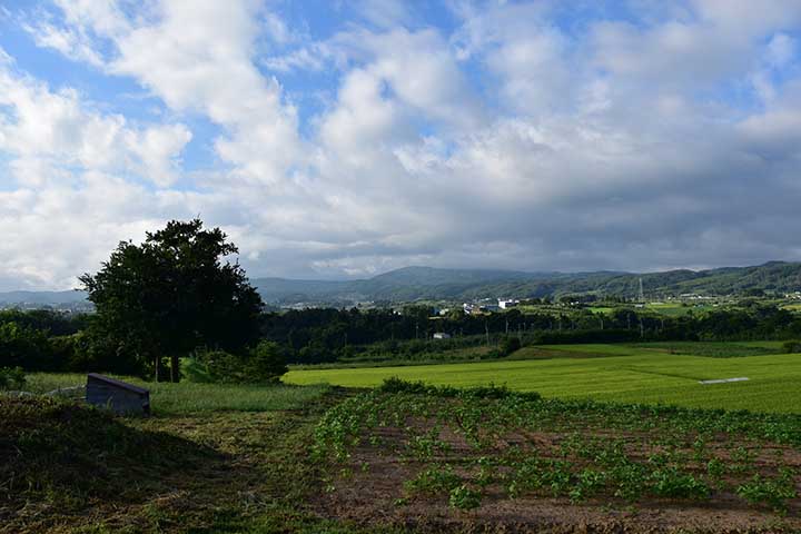 今日も歩いた