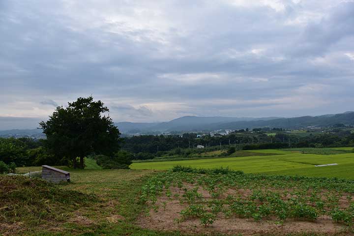 雨中行軍