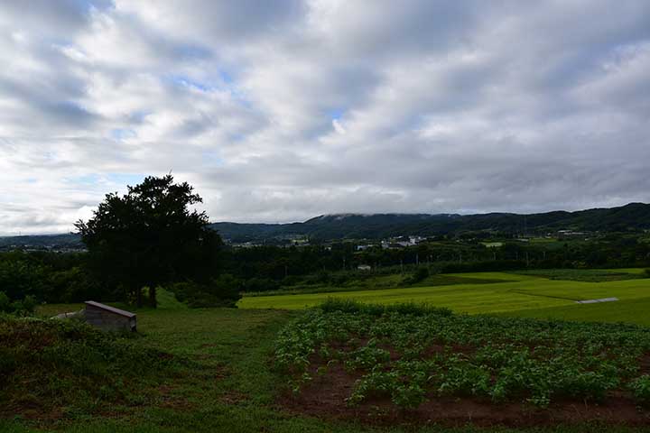 近場歩き