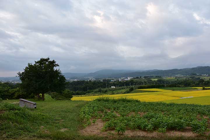 初出勤