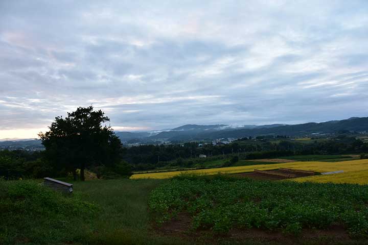 秋の陽気