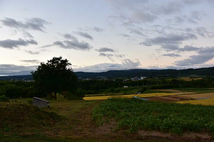 今日も少し暑かった