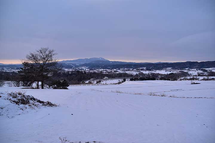 今日の残雪