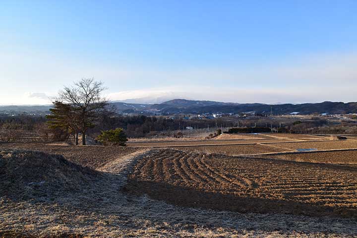 ちらっと雪