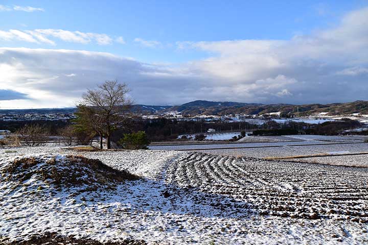 なごり雪