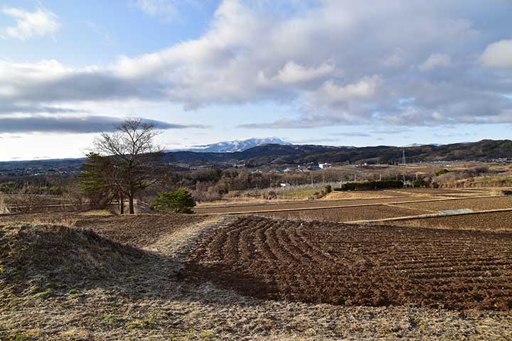 また寒くなった