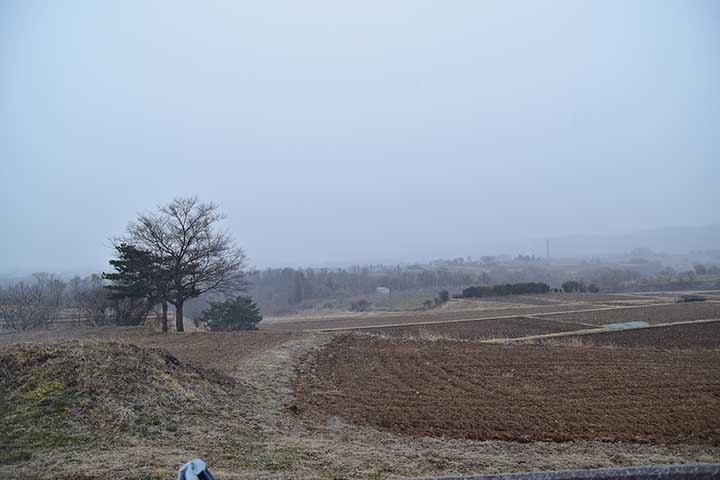 なごり雪というには大雪