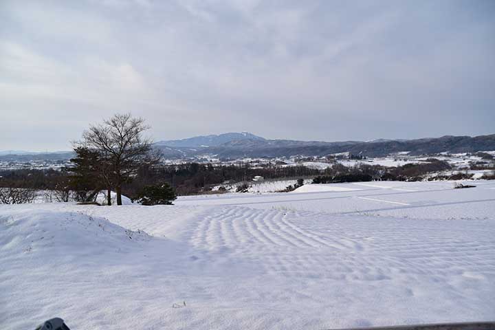 これだけ融ければ上出来