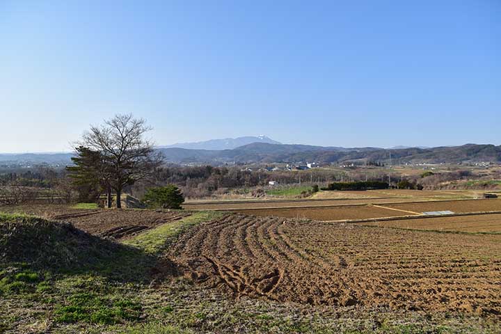 BOLTタコメーター調べ