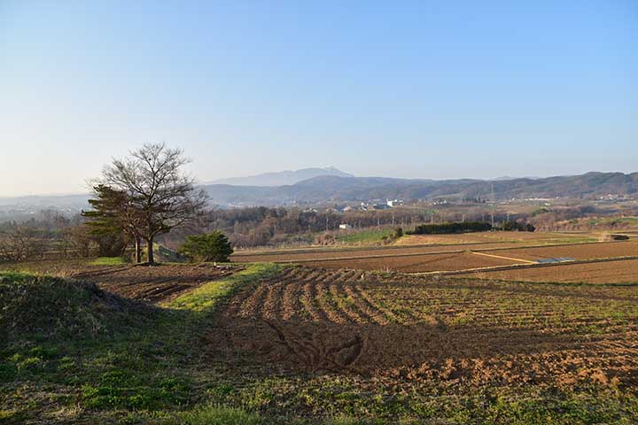 平均燃費