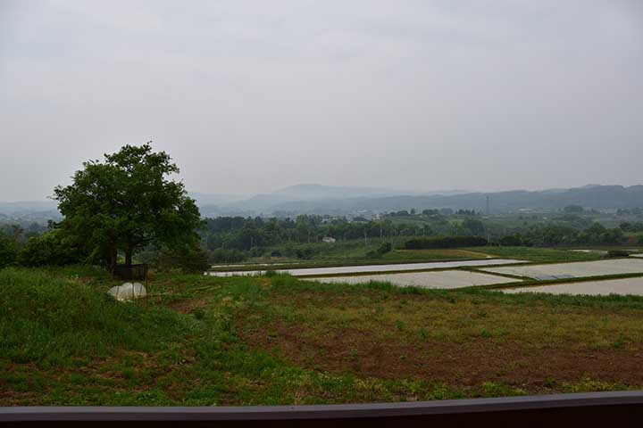 雨