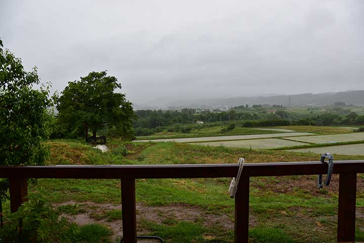 見守り作業・梅雨入り