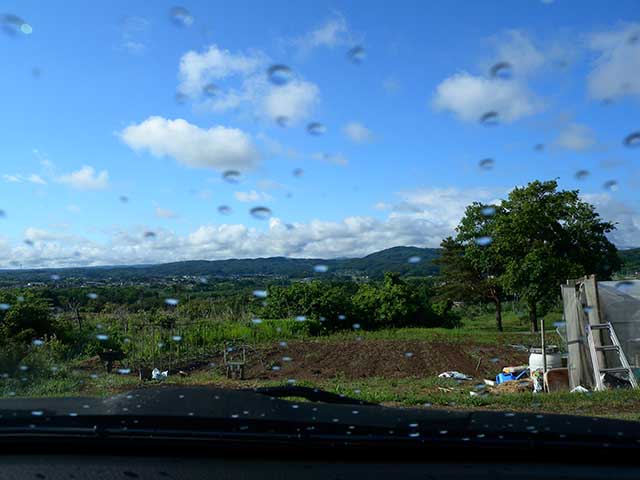 20220609_3.jpg 20220609_3.jpg