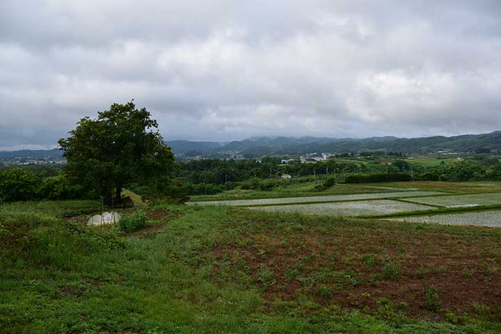 アルト給油