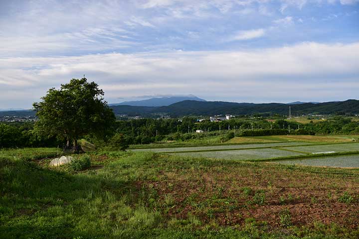 梅雨の中休み？