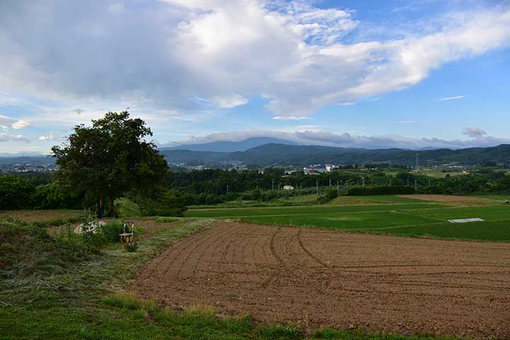 梅雨明け