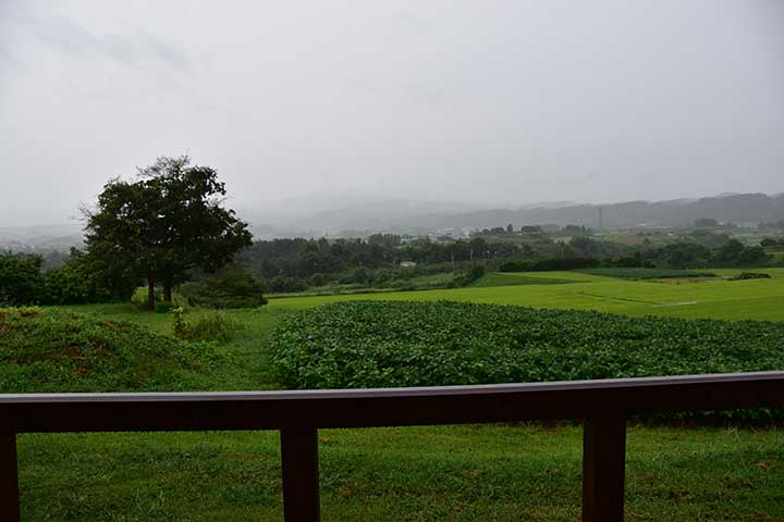 強雨