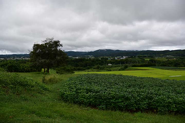 今年最後の夏休みは雨