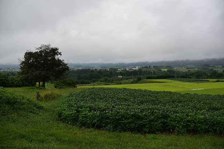 20220904_1.jpg 20220904_1.jpg