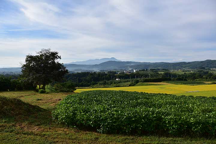 美ヶ原高原美術館 プチツー