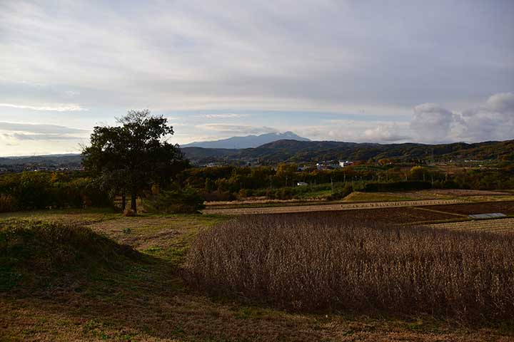 秋らしい風景