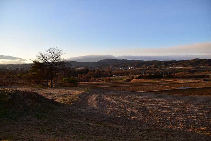 喉が痛い！！