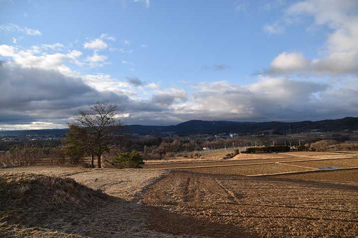 風が強く順延