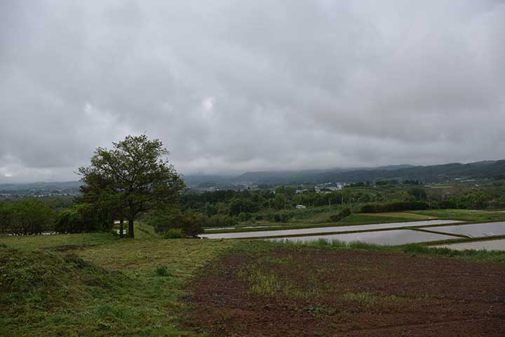 床屋さんに行ってきた