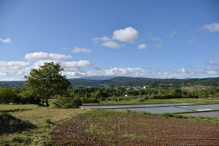 今日も涼しい一日