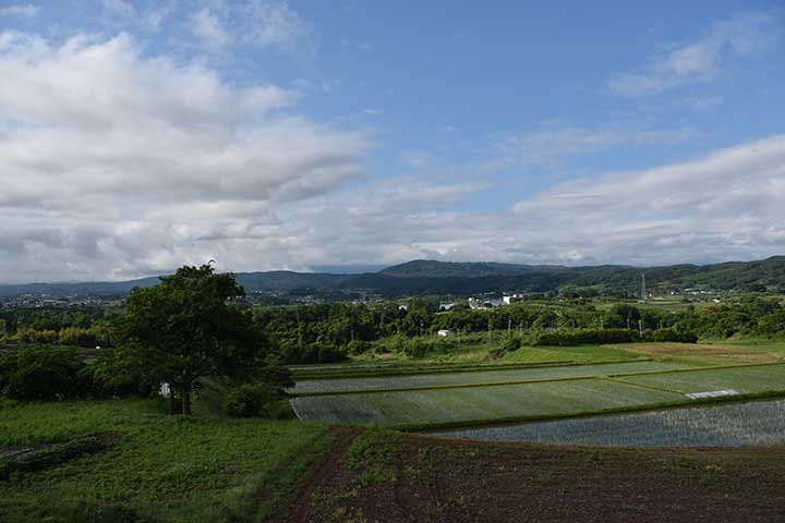 体調不良・休み