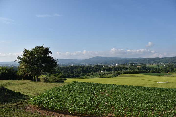 夏休み