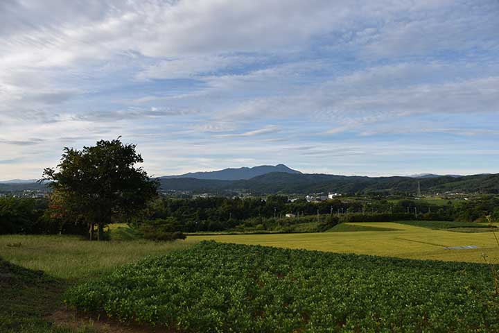 朝は涼しかった