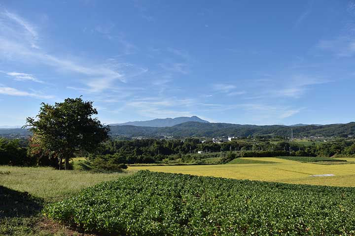 コバエ殺虫・忌避剤