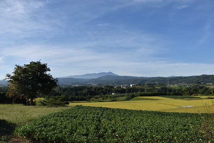 昨日の今日