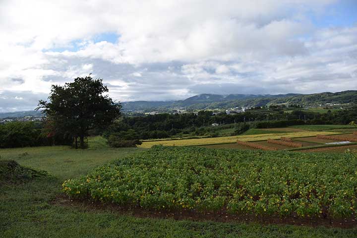 アルト給油