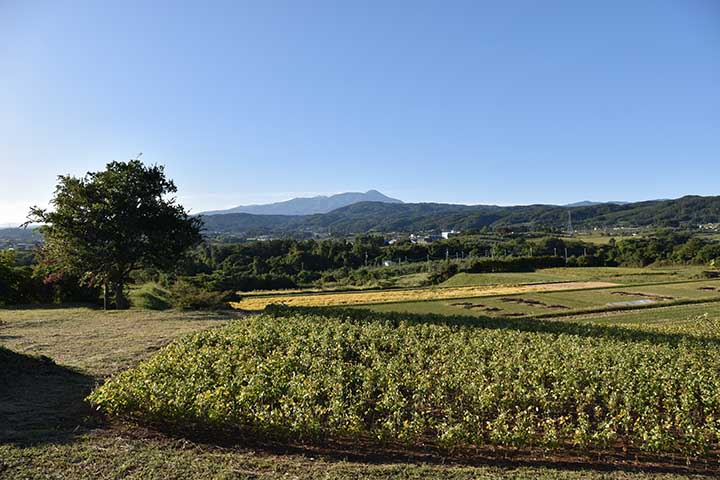 富士山が初冠雪したらしい