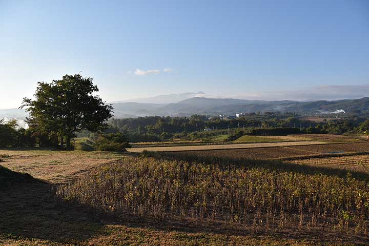 リカバリ失敗