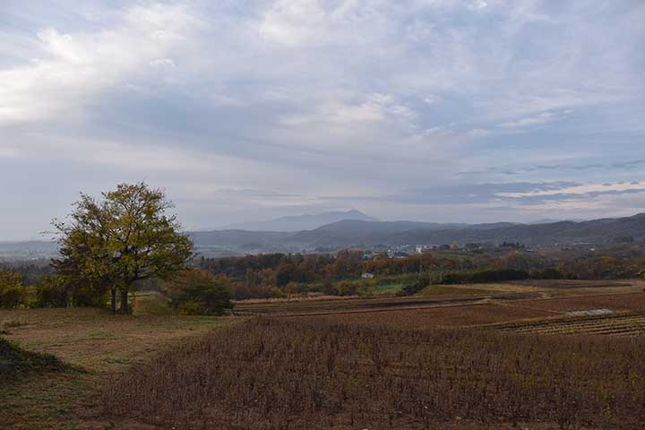 風邪ひいた＆アルト給油