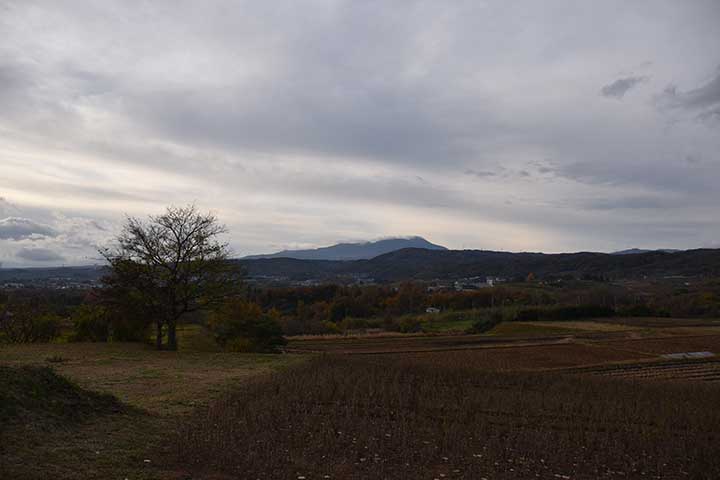 もう一日休み