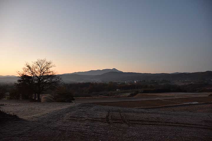 昨日の夜と今朝混ぜ合わせたもの